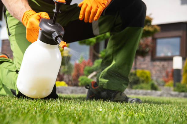 Best Best Pest Control Companies  in Williston Park, NY