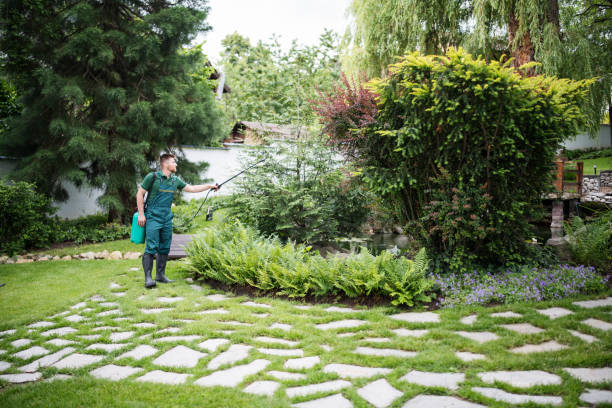 Professional Pest Control in Williston Park, NY