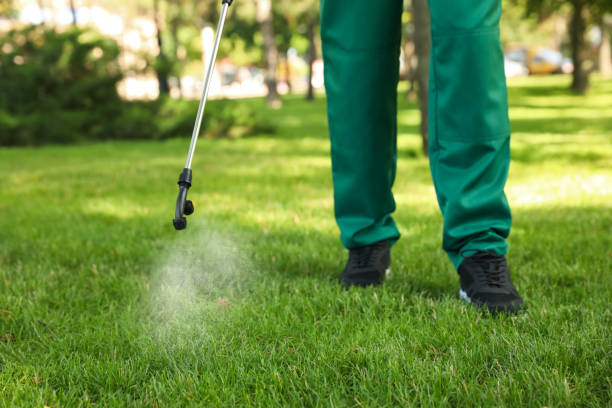 Best Pest Prevention Services  in Williston Park, NY